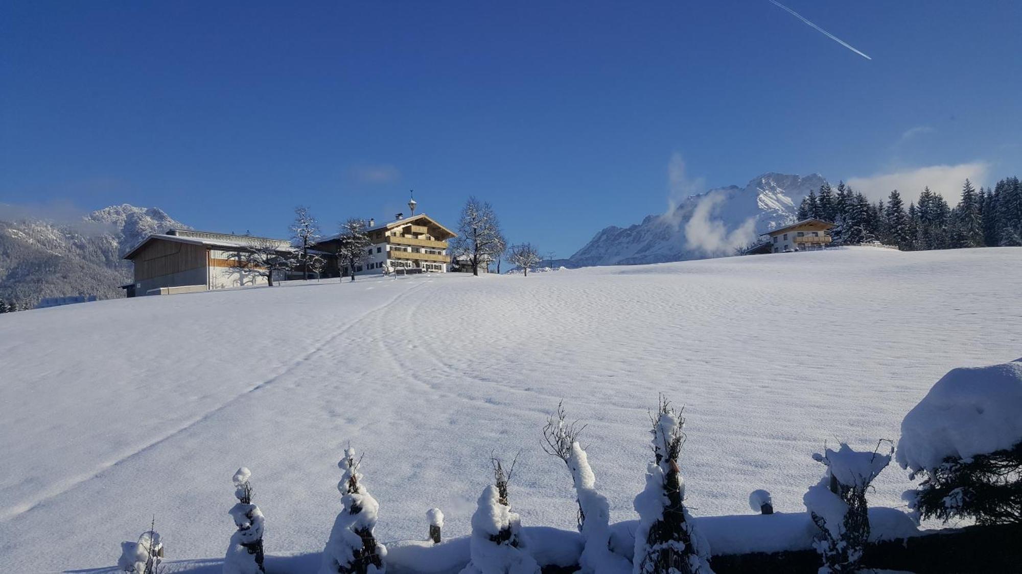 Appartement Seebacher Hochfilzen Zewnętrze zdjęcie