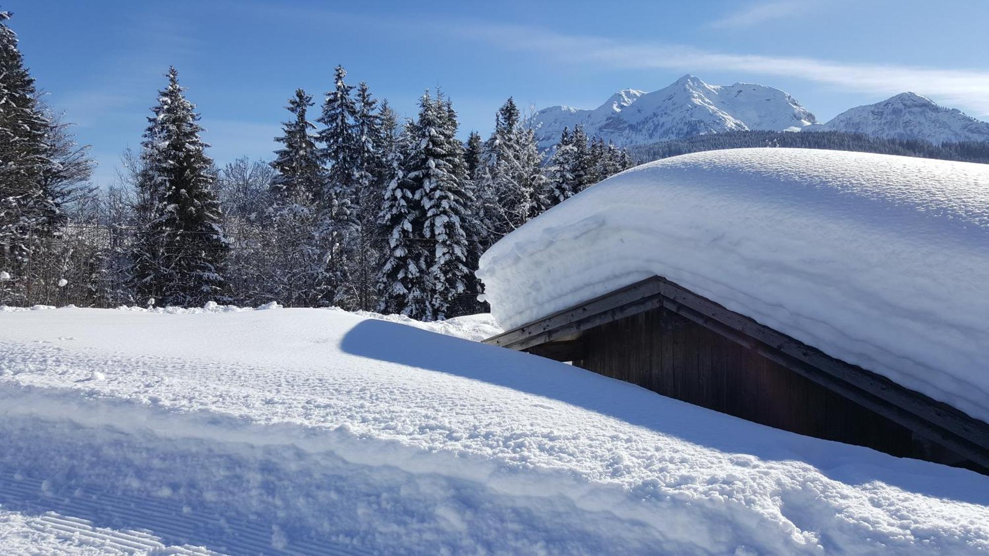 Appartement Seebacher Hochfilzen Zewnętrze zdjęcie