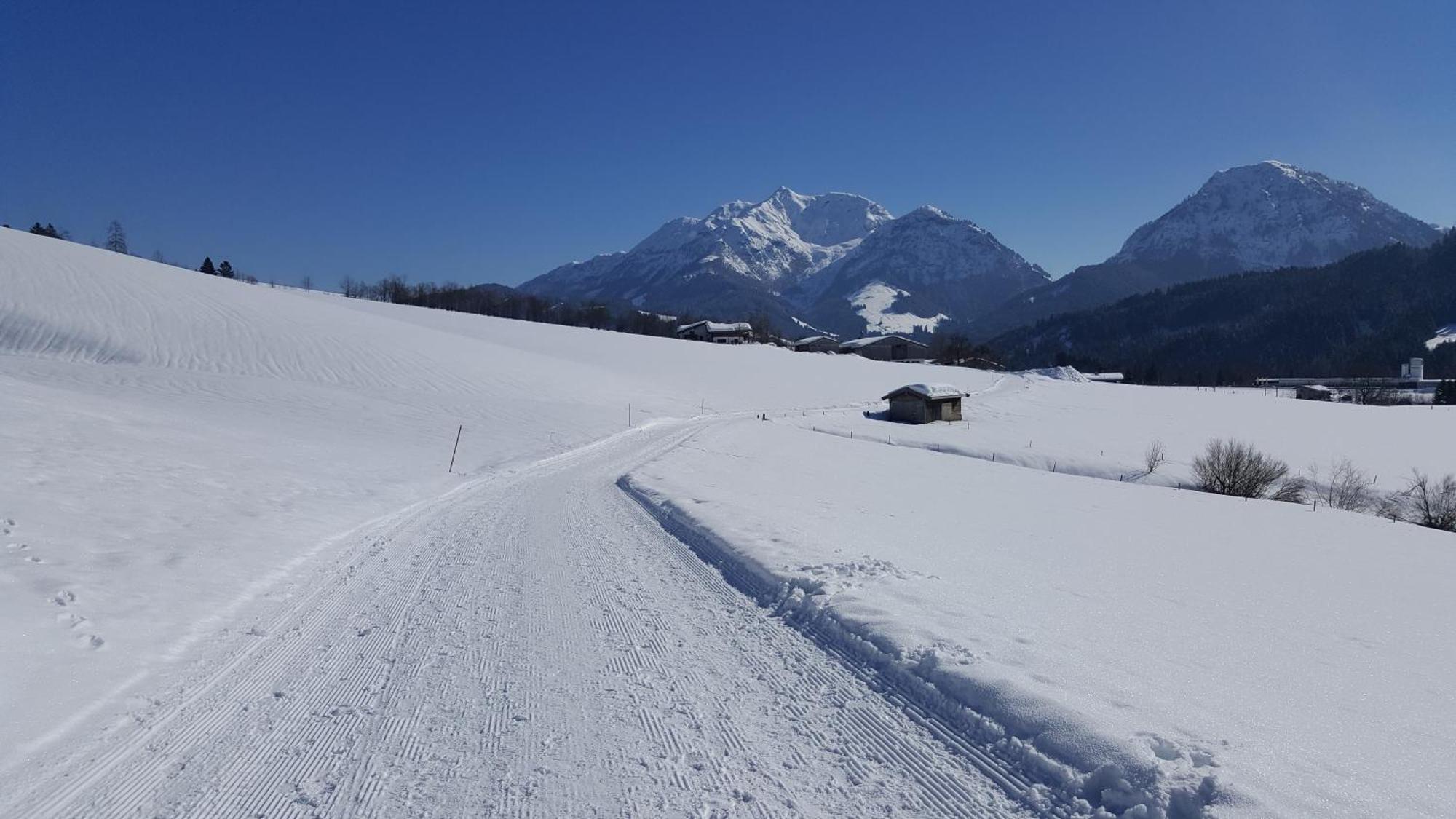Appartement Seebacher Hochfilzen Zewnętrze zdjęcie