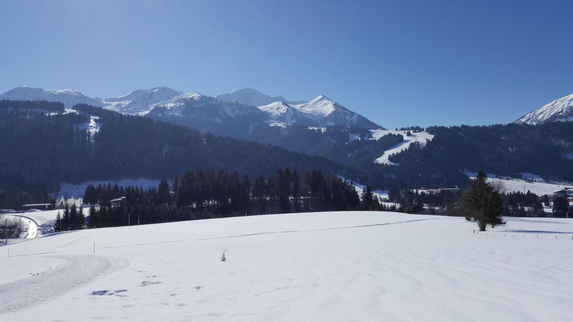 Appartement Seebacher Hochfilzen Zewnętrze zdjęcie