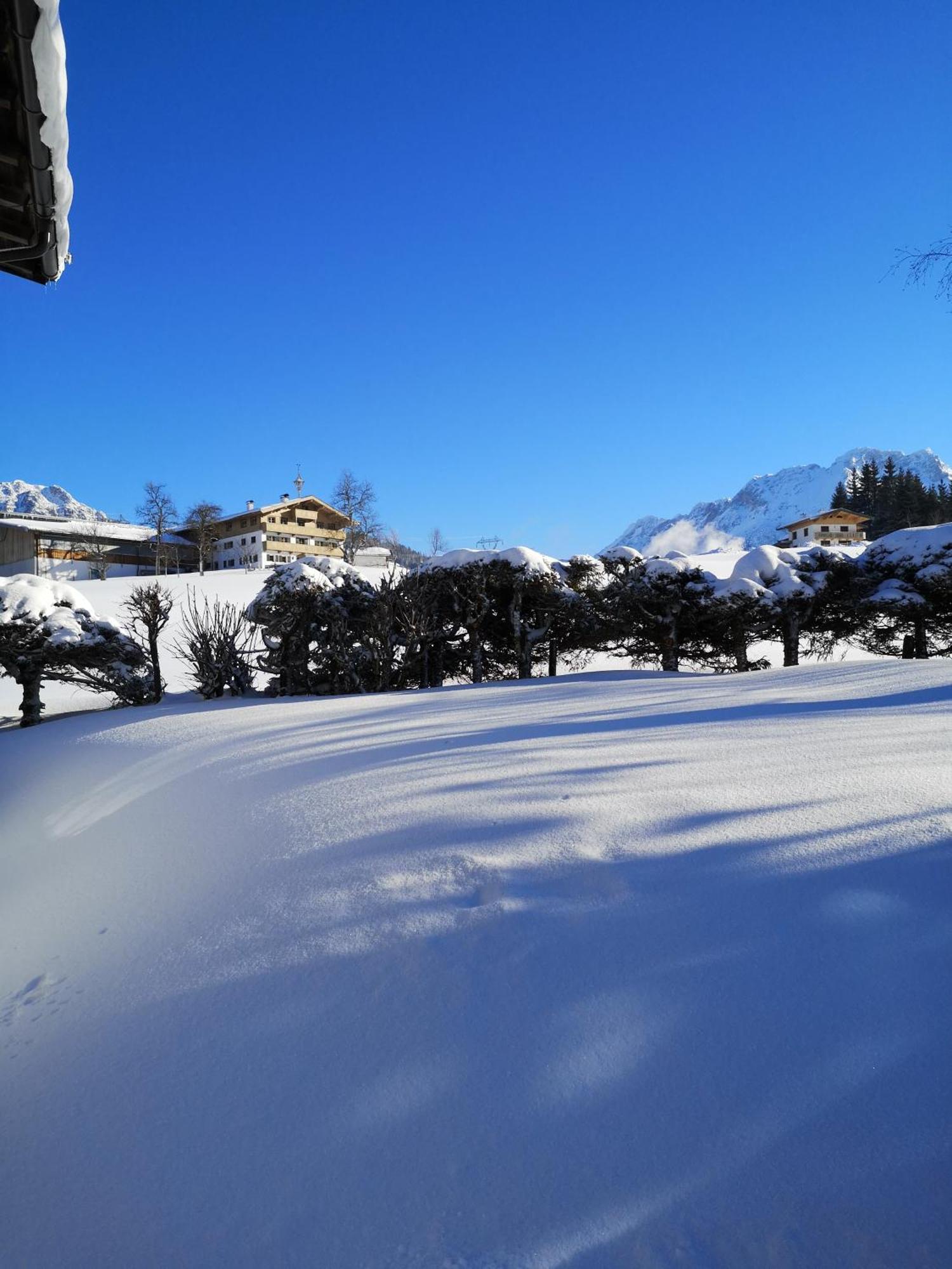 Appartement Seebacher Hochfilzen Zewnętrze zdjęcie