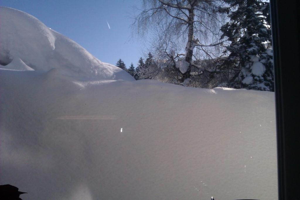 Appartement Seebacher Hochfilzen Zewnętrze zdjęcie