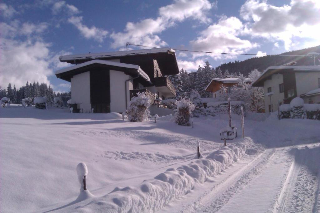 Appartement Seebacher Hochfilzen Zewnętrze zdjęcie