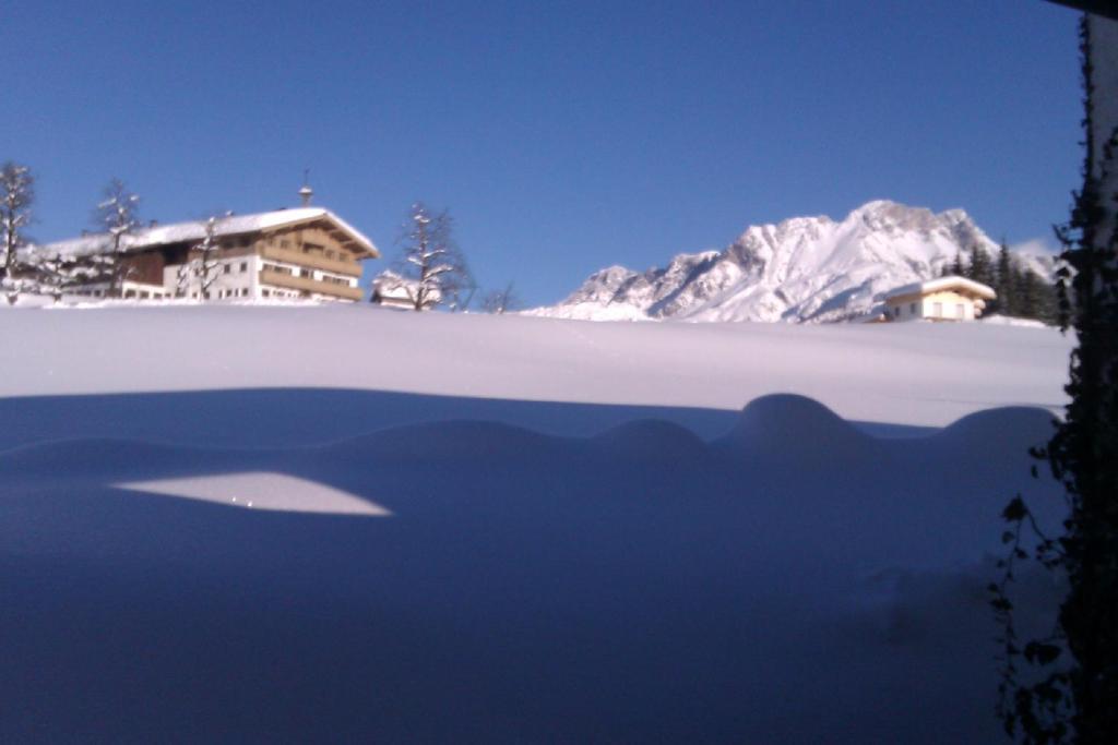 Appartement Seebacher Hochfilzen Zewnętrze zdjęcie