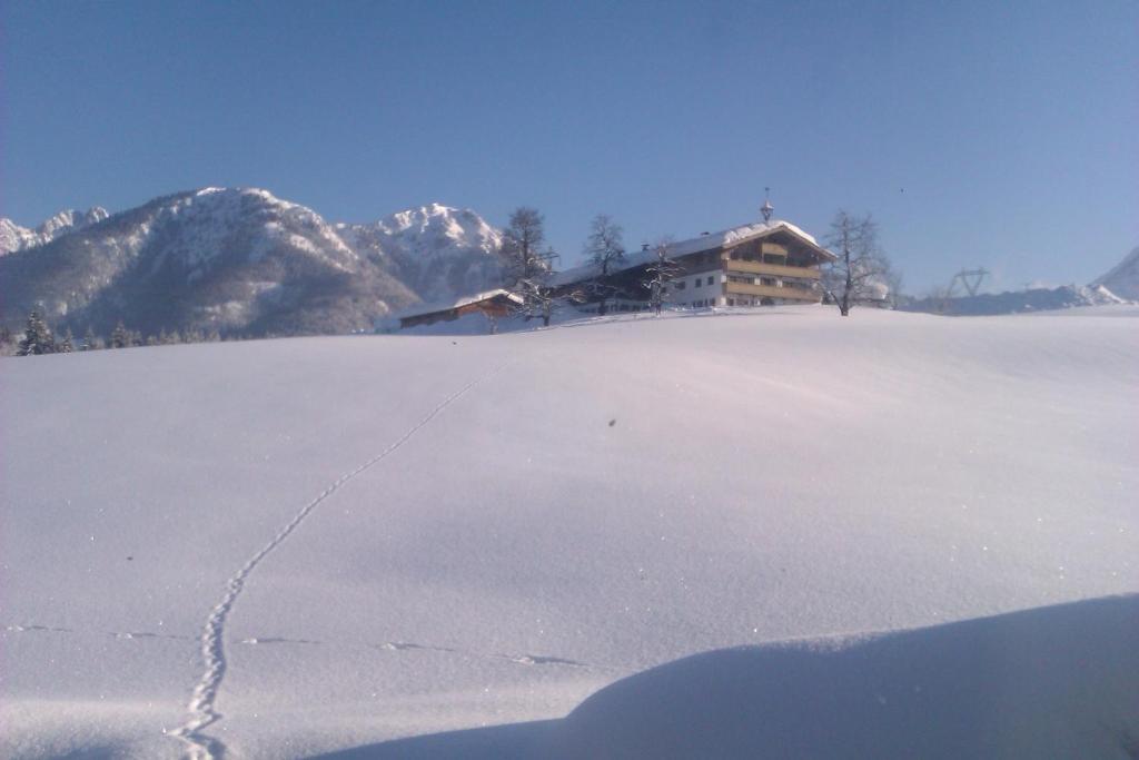 Appartement Seebacher Hochfilzen Zewnętrze zdjęcie