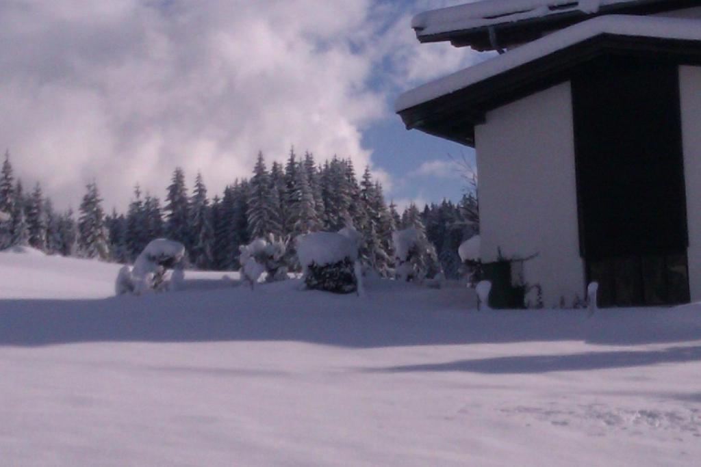 Appartement Seebacher Hochfilzen Zewnętrze zdjęcie